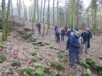 Sentier René Char 06 02 2020  (8)